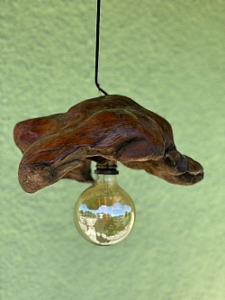 Lamp in combination with a driftwood piece