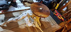 Side table with tree roots driftwood